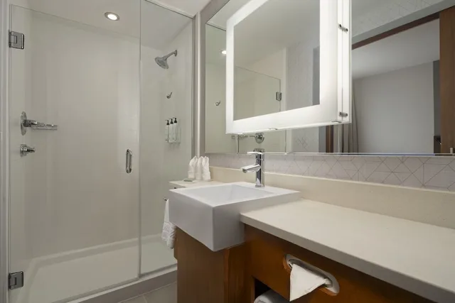 استوديو بسرير كينج مع أريكة، Springhill Suites By Marriott Voorhees Mt Laurel Cherry Hil 4/6