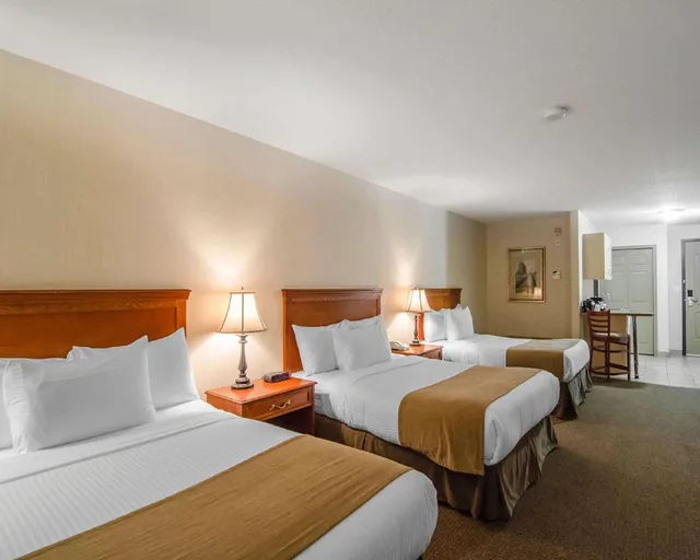Efficiency, Suite, Queen and Twin Beds، Quality Inn & Suites Grande Prairie 2/3