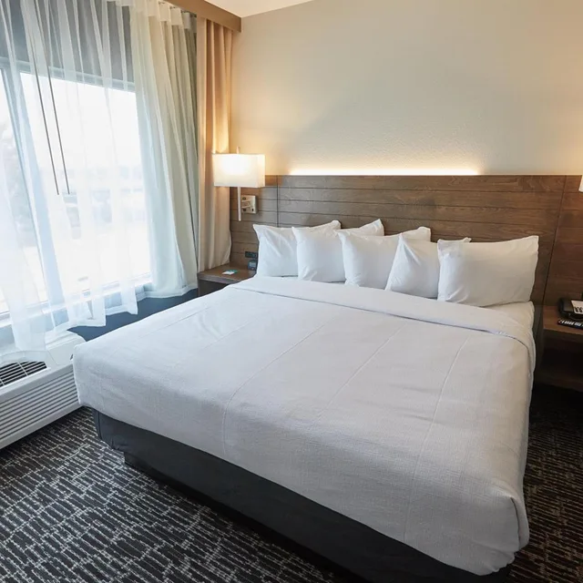 جناح ديلوكس بسرير كينج، Gundersen Hotel & Suites 2/4