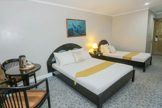 جناح ديلوكس، Holiday Plaza Hotel 2/9