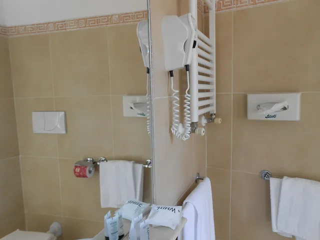 غرفة اقتصادية مفردة بسرير فردي، Hotel Riviera Fiumicino 10/10