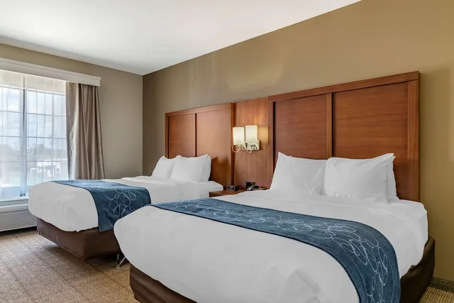 جناح بسريرين كوين مع أريكة لذوي الإعاقة، Comfort Suites Buda - Austin South 1/4