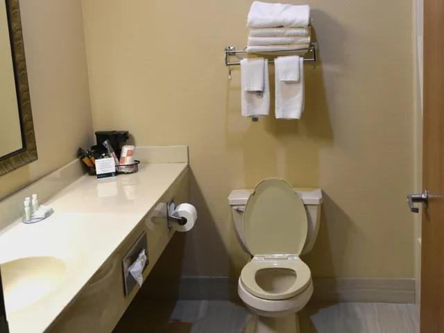 جناح بسرير كينج مع أريكة، Quality Inn & Suites Brooks Louisville South 3/5