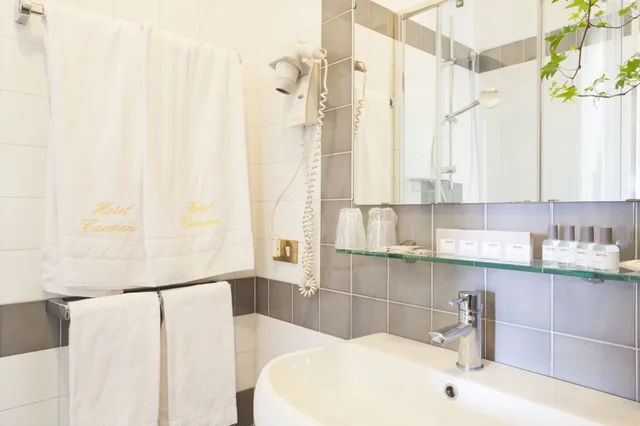 Standard, Single, King Bed, Cacciani Hotel 5/5
