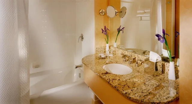 جناح جونيور، Orchard Garden Hotel 3/6