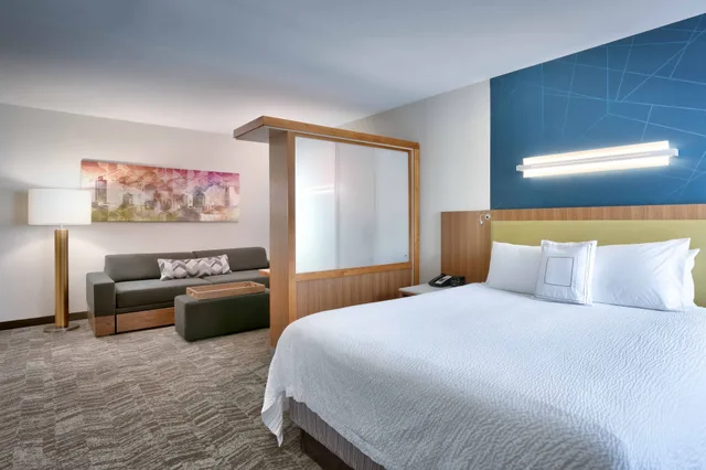 جناح بسرير كينج مع أريكة لذوي الإعاقة، Springhill Suites Salt Lake City Draper 1/10
