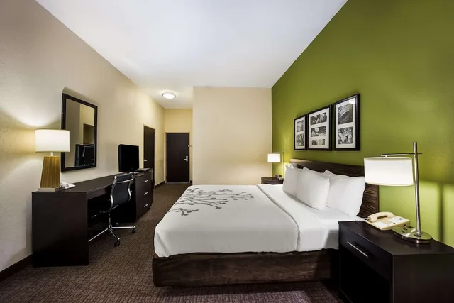 Room, King Bed, Accessible, Sleep Inn & Suites Valdosta Mall Area 1/4
