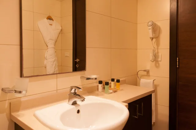 غرفة سوبيريور بسرير مزدوج، The Parisian Plaza 2/2