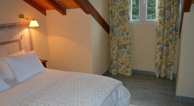 غرفة قياسية مفردة، Hotel Balneario Parque de Alceda 2/2
