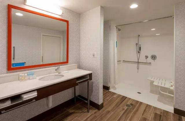 Suite, King Bed, Water View, Accessible، Hampton Inn Eden Prairie Minneapolis Mn 3/4