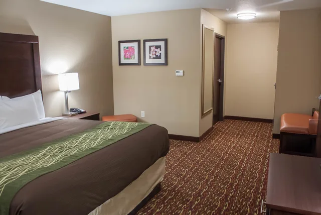 جناح بسرير كينج مع أريكة، Comfort Inn & Suites Artesia, NM 1/7