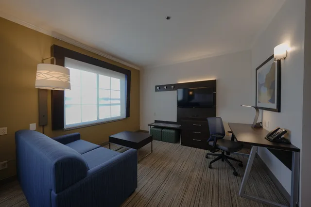 جناح بسرير مزدوج لذوي الإعاقة، Holiday Inn Express Hotel Suites Santa Clara Silicon Valley 1/1
