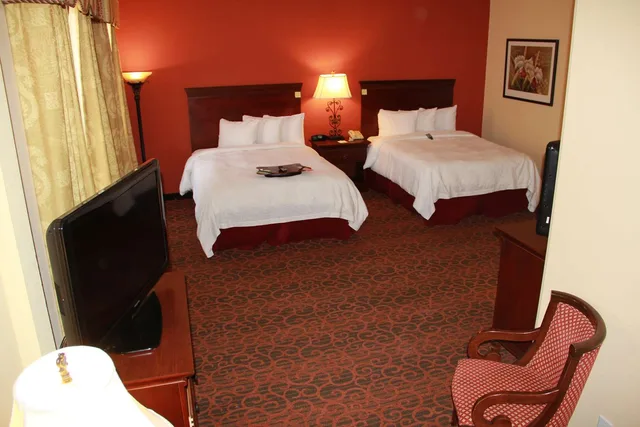 جناح استوديو بسريرين كوين مع أريكة، Hampton Inn Suites Houston Katy 3/8