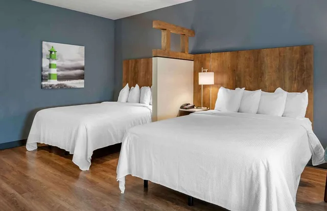 استوديو بريميوم بسريرين كوين، Extended Stay America Tampa Gibsonton Riverview 1/3
