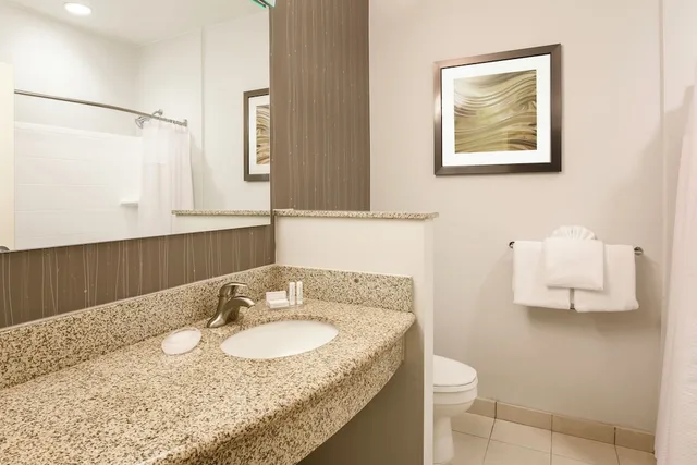 غرفة بسرير كينج مع أريكة لذوي الإعاقة، Courtyard Dallas Arlington South 5/5