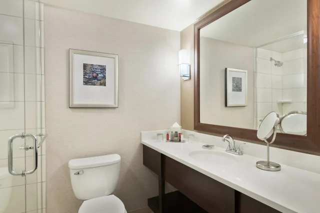 غرفة بريميوم بسرير كينج مع أريكة، Chicago Marriott Northwest 5/7