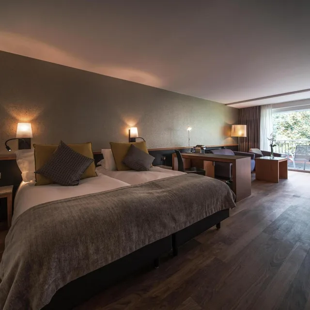 غرفة ديلوكس، Hotel Royal St Georges Interlaken MGallery 3/10
