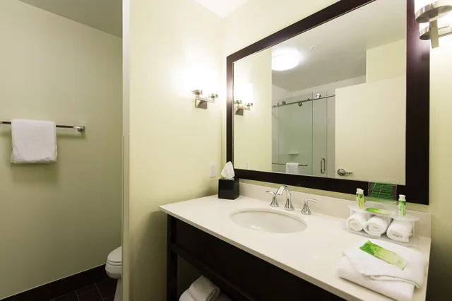جناح بسرير كينج لذوي الإعاقة، Holiday Inn Express And Suites Aiken 7/9