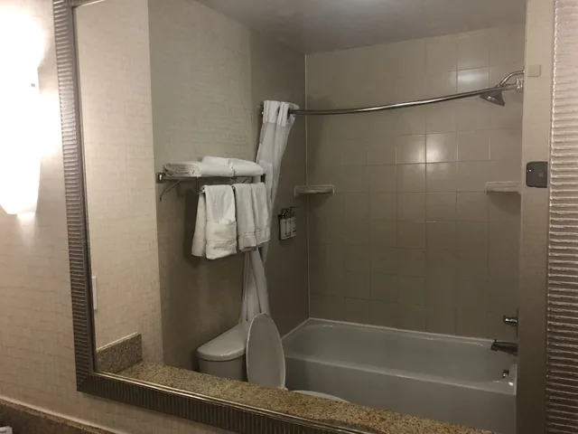 غرفة قياسية بسرير كينج مع أريكة، Holiday Inn Express Hotel And Suites Lansing Dimondale 6/8