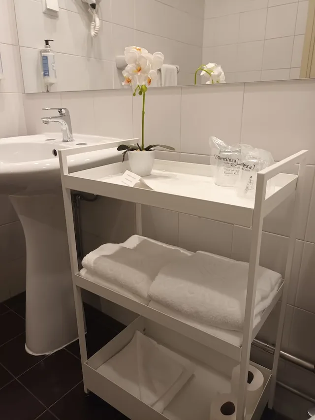 غرفة بريميوم بسريرين منفصلين، Vilar Oporto Hotel 4/5