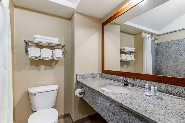 جناح بسرير كينج، Comfort Inn and Suites Seguin, TX 3/3