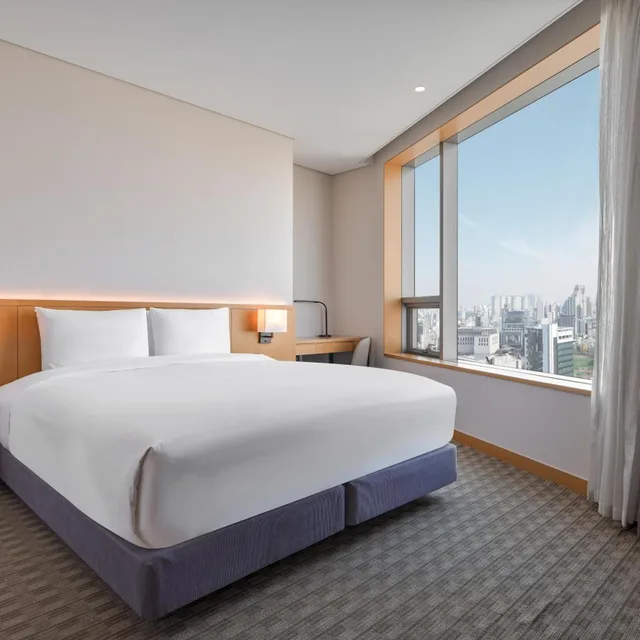 غرفة ديلوكس بسرير كينج في طابق مرتفع، Sotetsu Hotels The Splaisir Seoul Dongdaemun 2/9