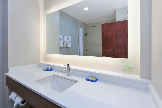 Suite, King Bed, Extra Floor Space، Holiday Inn Express Hotel And Suites Dayton South Franklin 3/3