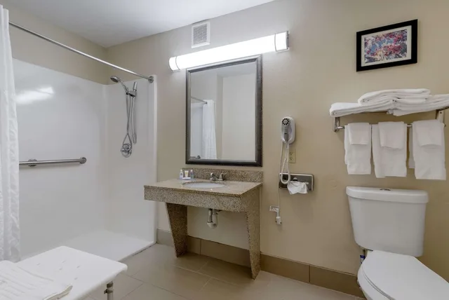 جناح بسرير كينج لذوي الإعاقة، Comfort Suites Columbus State University Area 2/3