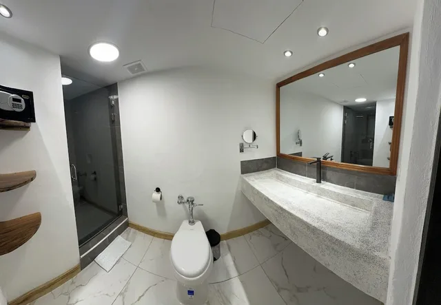 غرفة ديلوكس مفردة بسرير كينج، Hotel Tesoro Beach 6/6