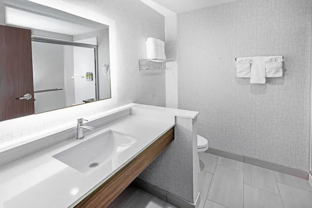 غرفة قياسية بسرير كينج، Holiday Inn Express Suites Stafford Nw Sugar Land An Ihg Hotel 6/6