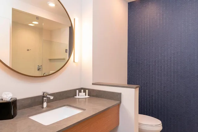 جناح بسرير كينج بغرفة نوم واحدة لذوي الإعاقة، Fairfield Inn And Suites Fair Oaks Farms 3/4