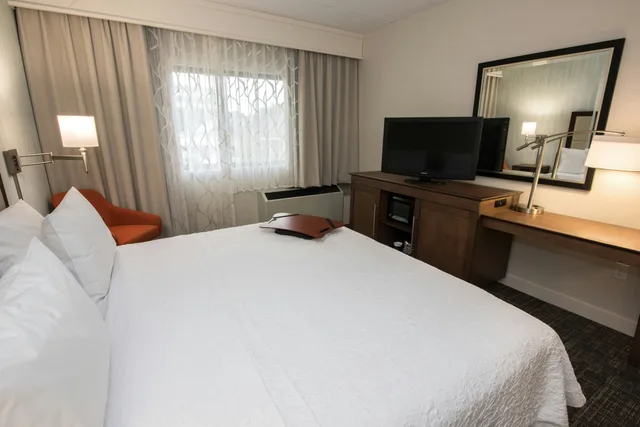 غرفة بسرير كينج لذوي الإعاقة، Hampton Inn Albany-Western Ave/University Area 1/4