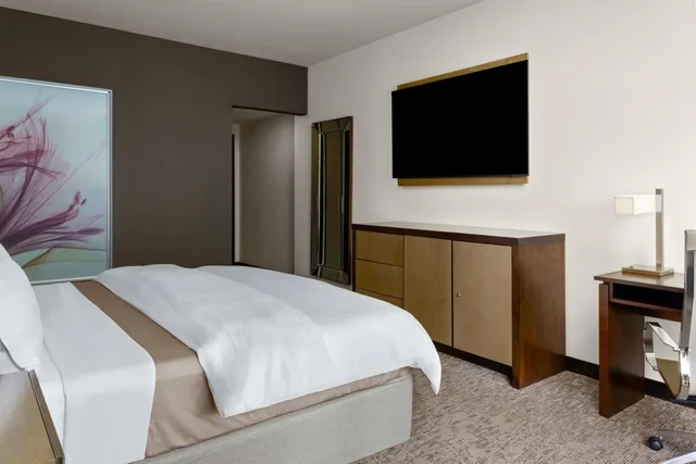 غرفة ديلوكس بسرير كينج بإطلالة على المدينة، The Westin Panama 2/5
