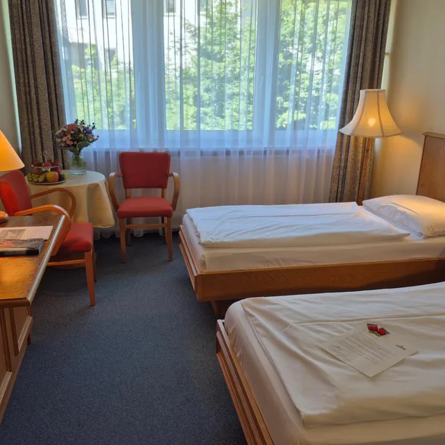 غرفة بسرير فردي، PANORAMA HOTEL OBERWIESENTHAL 2/2