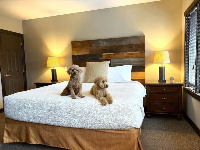 Suite, King Bed, Sunrise View, Sofa, Pet Friendly، Corduroy Inn and Lodge, Trademark Collection by Wyndham 1/4