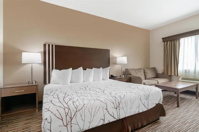 غرفة بسرير كينج مع أريكة بحوض استحمام لذوي الإعاقة، Best Western Brookfield 3/5