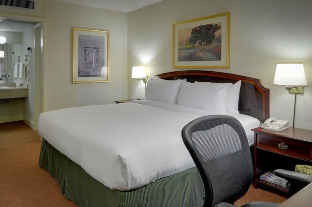 غرفة قياسية بسرير كينج، Vagabond Inn Executive San Francisco Airport 4/7