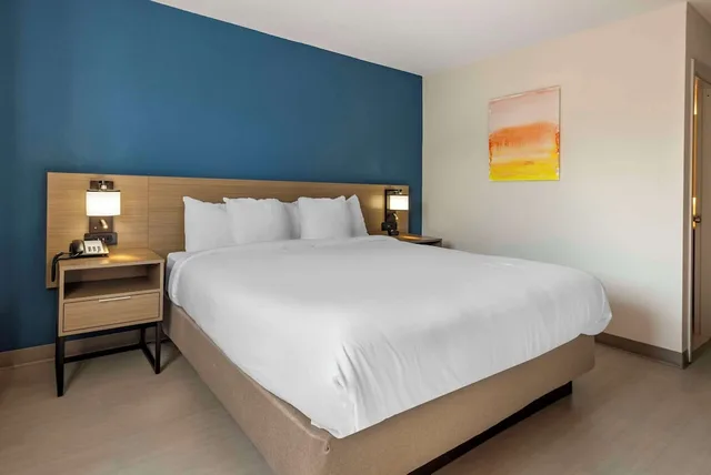 غرفة قياسية بسرير كينج لذوي الإعاقة، Comfort Inn Philadelphia International Airport West 1/3