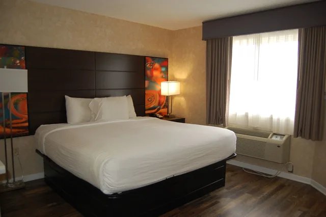 جناح بسرير كينج، Vacation Lodge 1/6