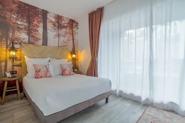 غرفة حصرية مفردة بسرير مزدوج، La Maison Hotel Mulhouse Centre 1/3