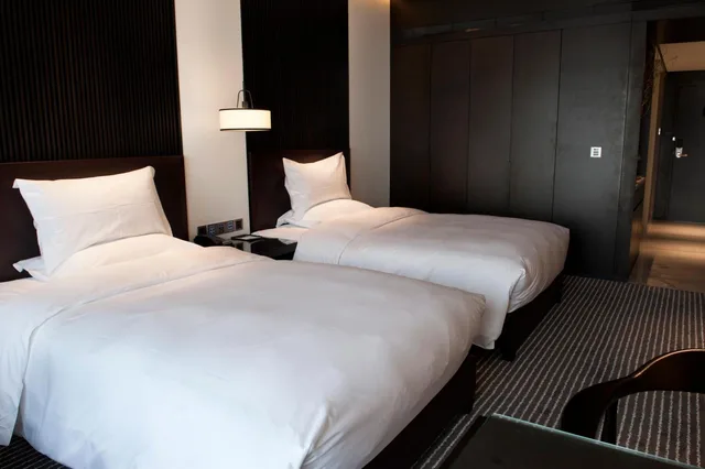 غرفة بسريرين منفصلين، Xi'an Eastern House Boutique Hotel 7/10