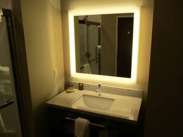 غرفة قياسية بسرير كينج لذوي الإعاقة، Best Western Plus Lakeview Hotel 5/9