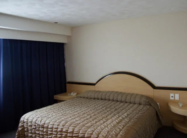 غرفة قياسية، Portonovo Hotel And Suites 2/2