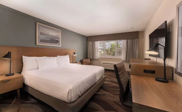 Standard, King Bed, Pet Friendly, Prestige Hudson Bay Lodge & Conference Centre, WorldHotels 1/2