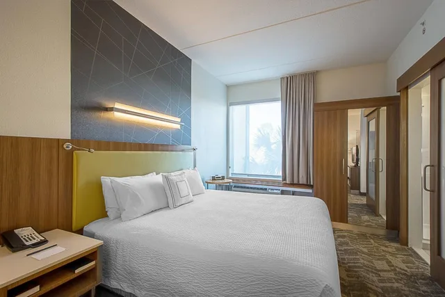 جناح بسرير كينج مع سرير سحّاب إضافي مع أريكة بحوض استحمام لذوي الإعاقة، SpringHill Suites Tampa North/I-75 Tampa Palms 2/4