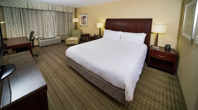Evolution, King Bed، Hilton Garden Inn Valdosta 2/3