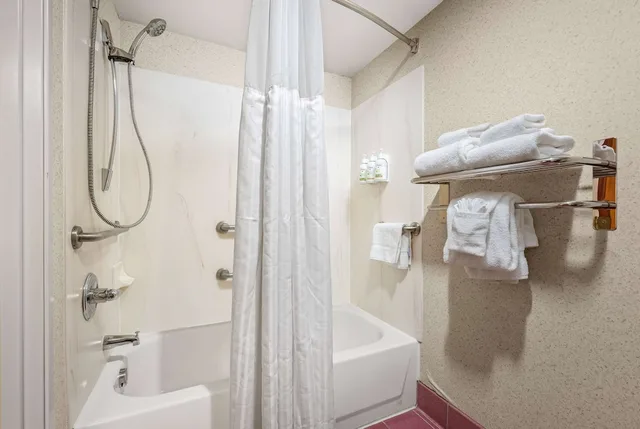 Deluxe, Suite, King Bed, Americinn By Wyndham Denver Airport 3/4
