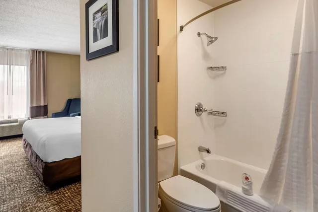Standard, King Bed, Comfort Inn Paducah I-24 6/6