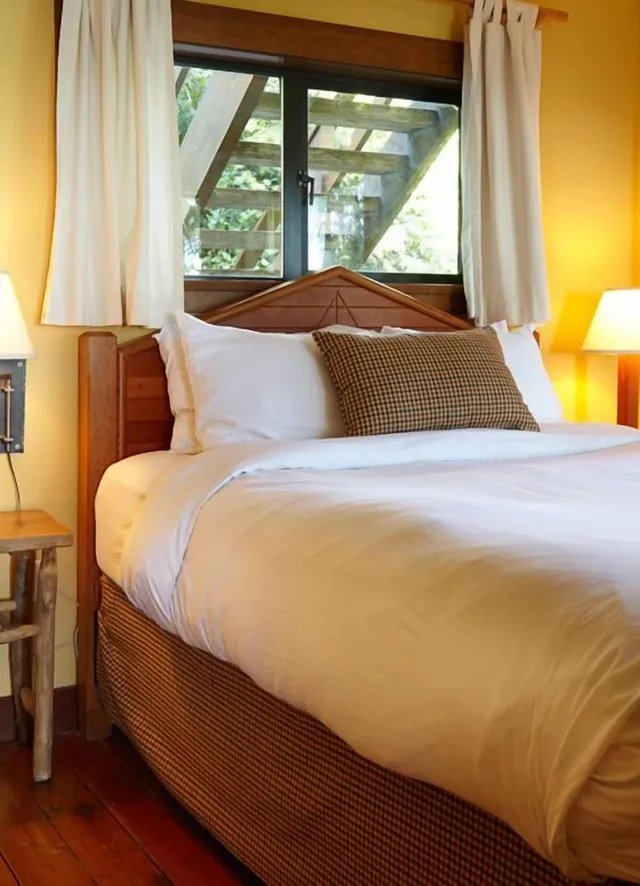 Cabin, 1 Queen and 1 Single Bed, Ocean View, Sofa, Kitchenette, Middle Beach Lodge 1/5