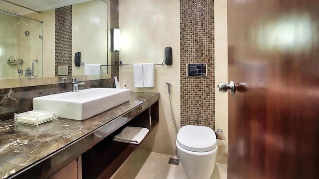 غرفة قياسية، RADISSON JAIPUR CITY CENTER 8/8